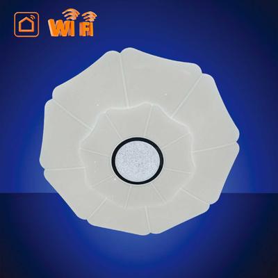 WiFi Round Type Ultrathin LED Ceiling Lamp,Remote,APP,AI,Dimmable,CCT,SGS CE EMC LVD for Smart Home Lighting (Alexa,Google home)Indoor Flicker free Light Fixture