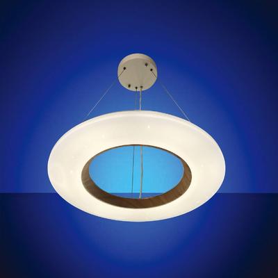 Wood Grain Round type LED Pendant Lamp,Remote,Dimmable,CCT,SGS CE EMC LVD ISO9001 for Indoor Lighting, Flicker free Light Fittings