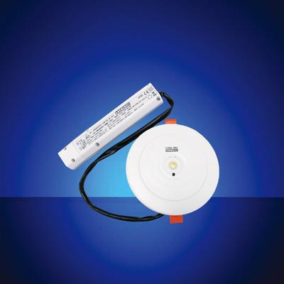 3W LED Emergency Downlight with CE EMC LVD RoHS ISO9001 for Building,Mall,Recessed