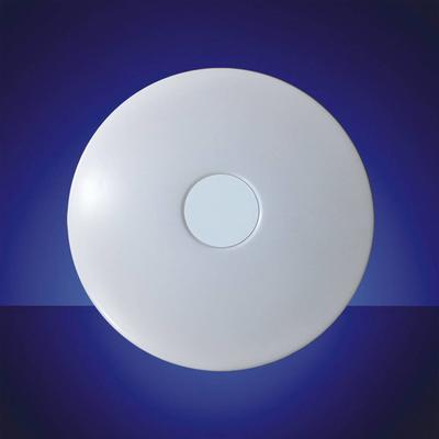 Jade Style Smart LED Ceiling Light,Remote,Dimmable,CCT,SGS CE EMC LVD ISO9001  for Indoor Lighting Flicker free Lamp Fixture